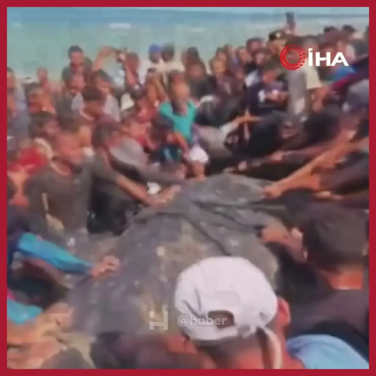 Gazze Sahillerinde Dev Balık Karaya Vurdu Gazze Sahillerinde Dev Balık Karaya Vurdu