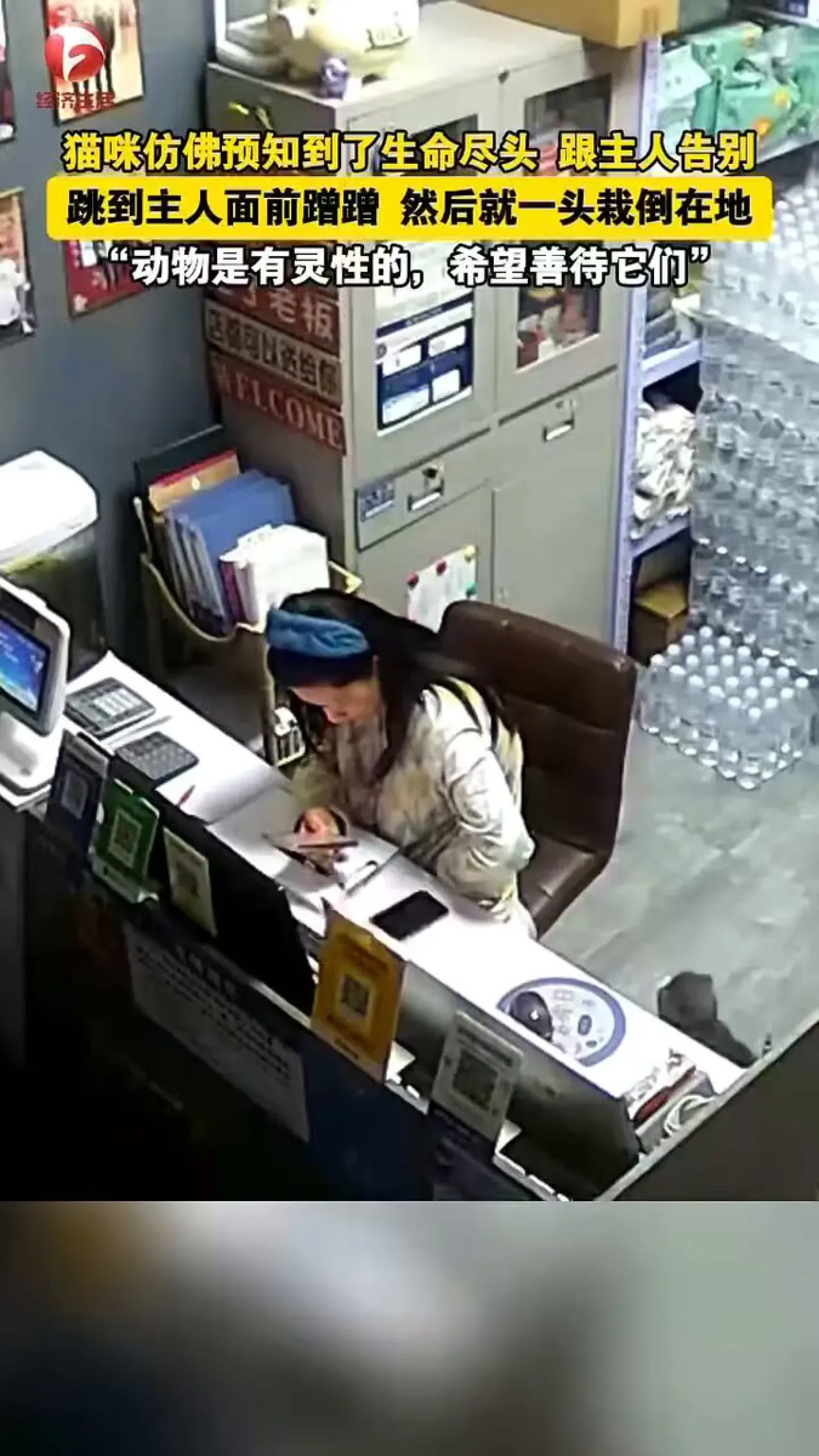 Evcil Kedisiyle Son Kez Vedalaştıktan Sonra Hayatını Kaybetti Evcil Kedisiyle Son Kez Vedalaştıktan Sonra Hayatını Kaybetti
