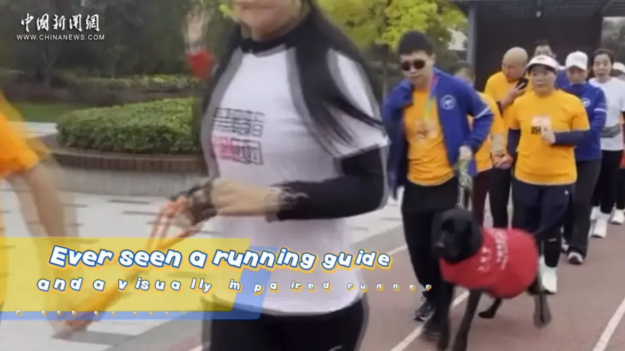 Taiyuan'da Görme Engelli Koşucular ve Gönüllülerden Örnek Dayanışma Taiyuan'da Görme Engelli Koşucular ve Gönüllülerden Örnek Dayanışma