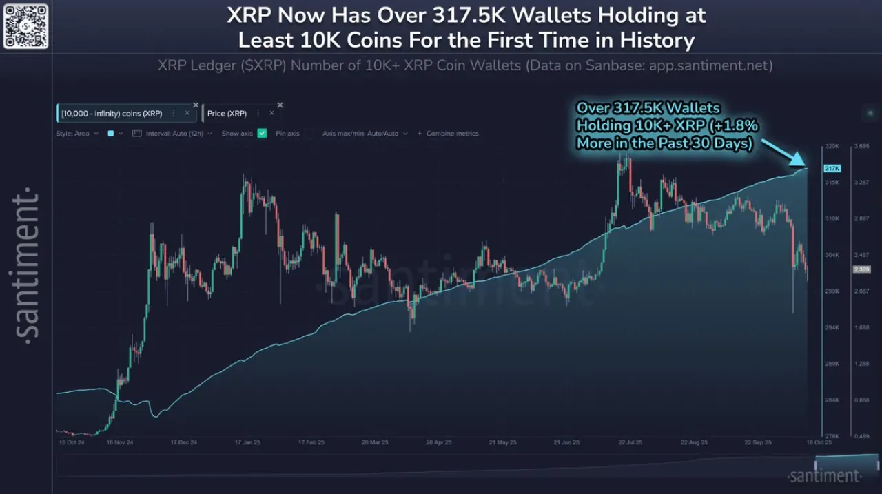 XRP Fiyatında Toparlanma: Büyük Cüzdan Sahipleri Rekor Seviyede XRP Fiyatında Toparlanma: Büyük Cüzdan Sahipleri Rekor Seviyede