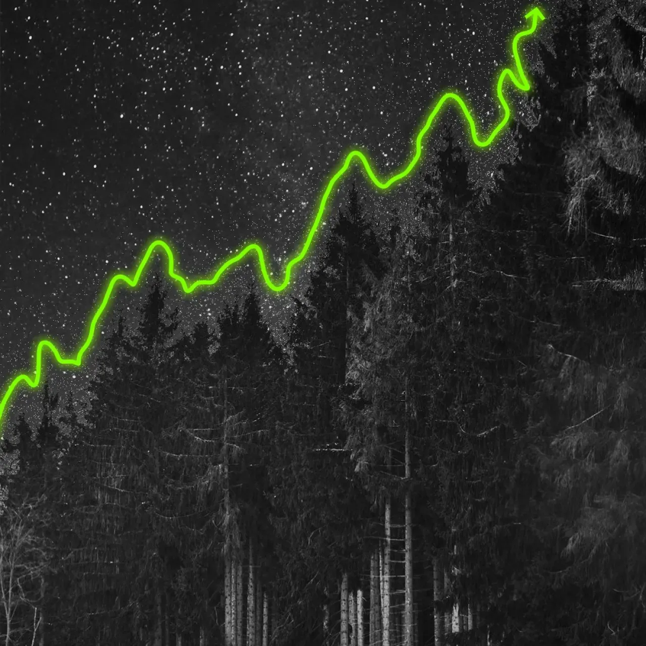 Günlük Yaşamda Grafik Okuryazarlığı: Ağaçlar ve Destek-Direnç Çizgileri Arasındaki Şaşırtıcı Benzerlik Günlük Yaşamda Grafik Okuryazarlığı: Ağaçlar ve Destek-Direnç Çizgileri Arasındaki Şaşırtıcı Benzerlik