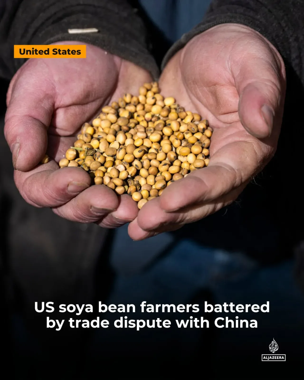 ABD Soya Fasulyesi Çiftçileri Ticaret Savaşında Zorlu Yıl Bekliyor ABD Soya Fasulyesi Çiftçileri Ticaret Savaşında Zorlu Yıl Bekliyor
