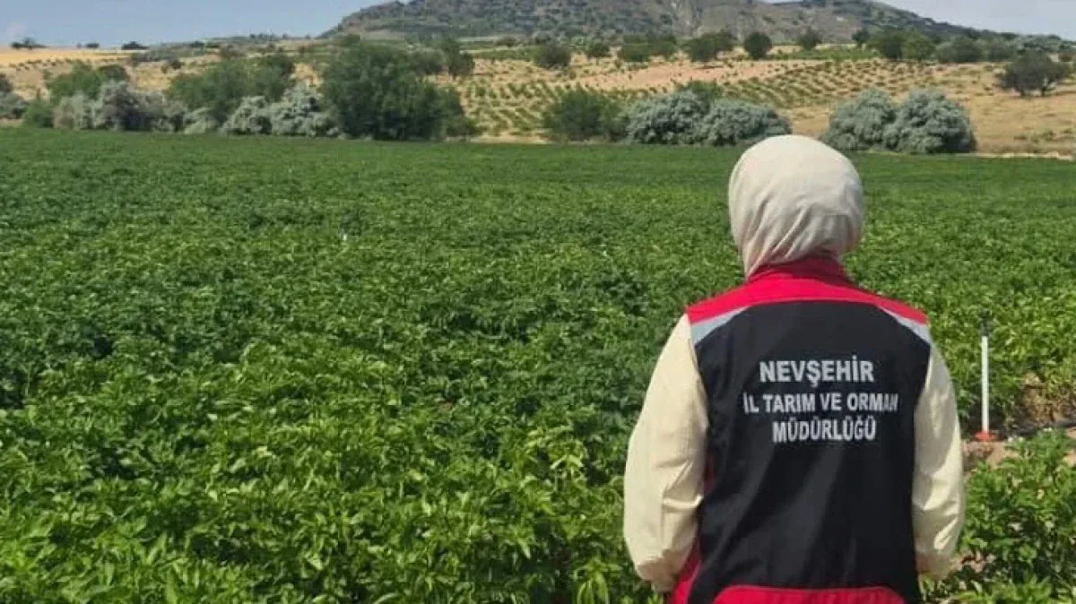 Nevşehir Tarımında Uydu Dönemi: ÇKS Beyanları Dijital Kontrolde Nevşehir Tarımında Uydu Dönemi: ÇKS Beyanları Dijital Kontrolde