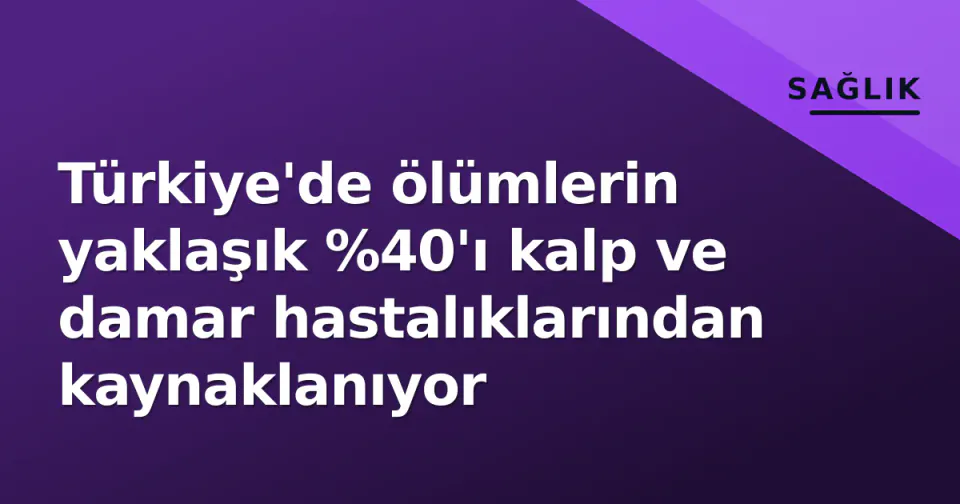 Türkiye'de ölümlerin yaklaşık %40'ı kalp ve damar hastalıklarından kaynaklanıyor görseli