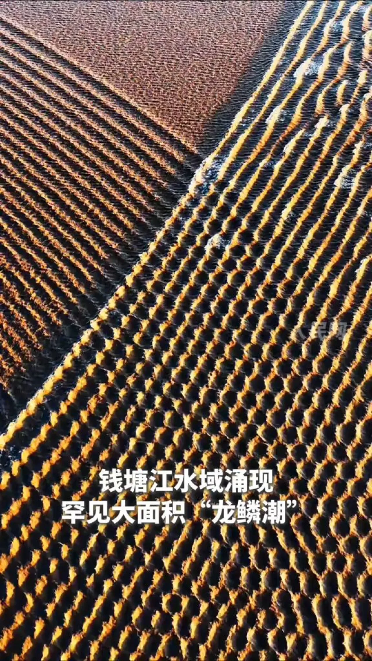 Qiantang Nehri'nde Görülen "Ejderha Pullu" Med-Cezir Dalgası Görenlere Uğur Getiriyor Qiantang Nehri'nde Görülen "Ejderha Pullu" Med-Cezir Dalgası Görenlere Uğur Getiriyor
