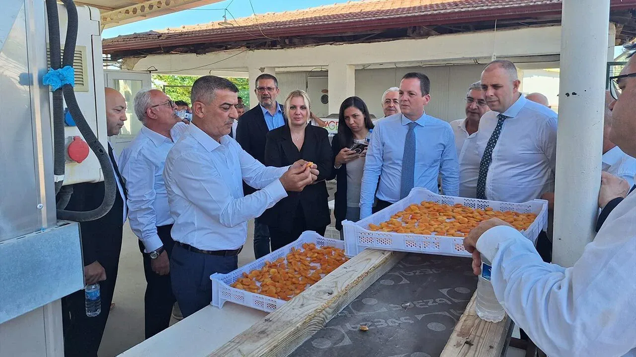 Malatya Kayısısı İçin Dev İş Birliği: İhracatta Yeni Strateji Belirlendi Malatya Kayısısı İçin Dev İş Birliği: İhracatta Yeni Strateji Belirlendi