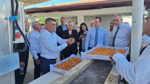 Malatya Kayısısı İçin Dev İş Birliği: İhracatta Yeni Strateji Belirlendi Malatya Kayısısı İçin Dev İş Birliği: İhracatta Yeni Strateji Belirlendi