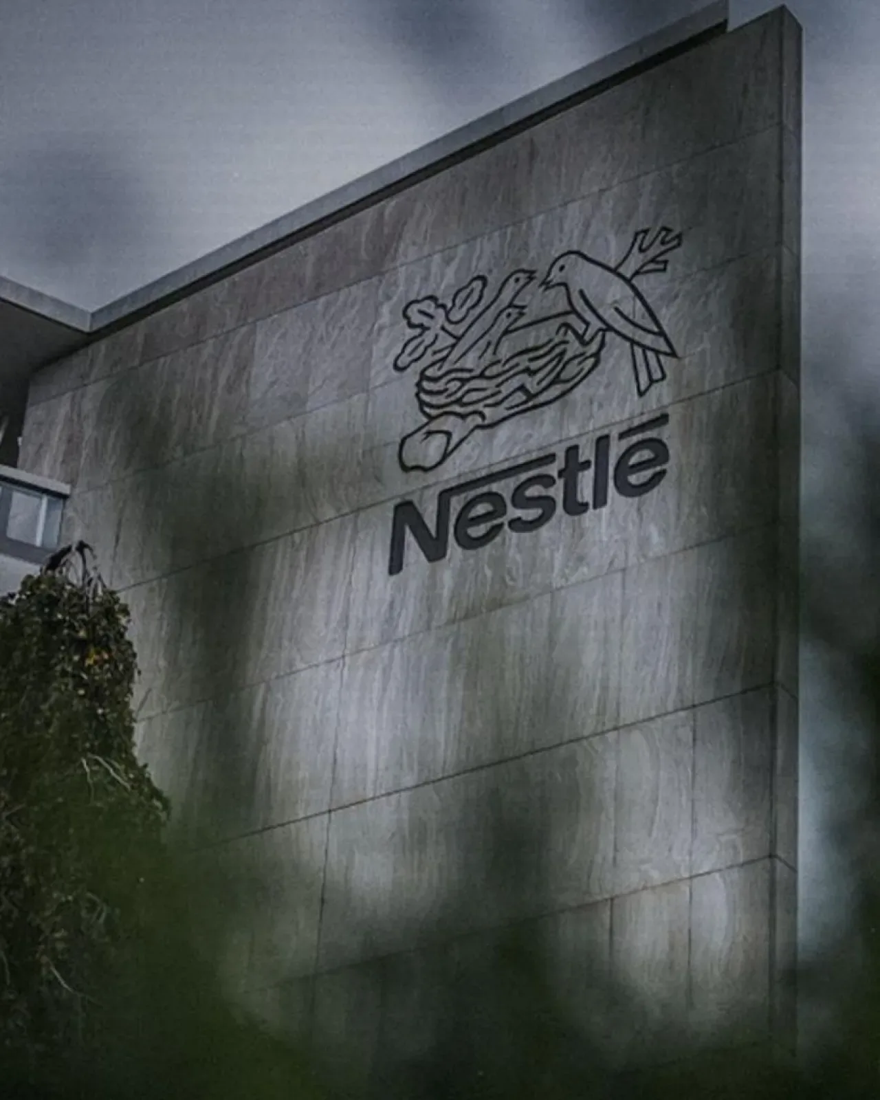 Nestlé, İsrail Bağlantılı Boykotlar Nedeniyle 16 Bin Çalışanını İşten Çıkaracak Nestlé, İsrail Bağlantılı Boykotlar Nedeniyle 16 Bin Çalışanını İşten Çıkaracak