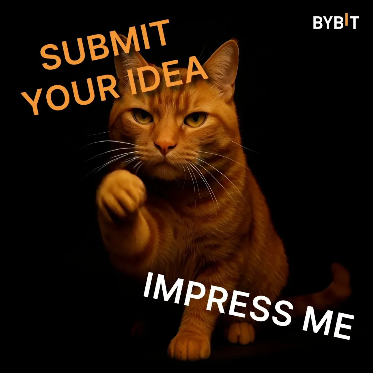 Bybit'in İsimsiz Kedisi İçin İsim Önerileri Aranıyor: 500 USDT Ödül Bybit'in İsimsiz Kedisi İçin İsim Önerileri Aranıyor: 500 USDT Ödül