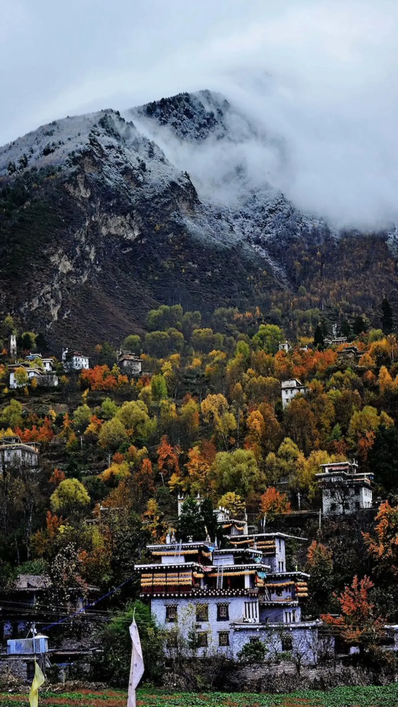 Sichuan'daki Geleneksel Köy, Birleşmiş Milletler Tarafından "En İyi Turizm Köyü" Seçildi Sichuan'daki Geleneksel Köy, Birleşmiş Milletler Tarafından "En İyi Turizm Köyü" Seçildi
