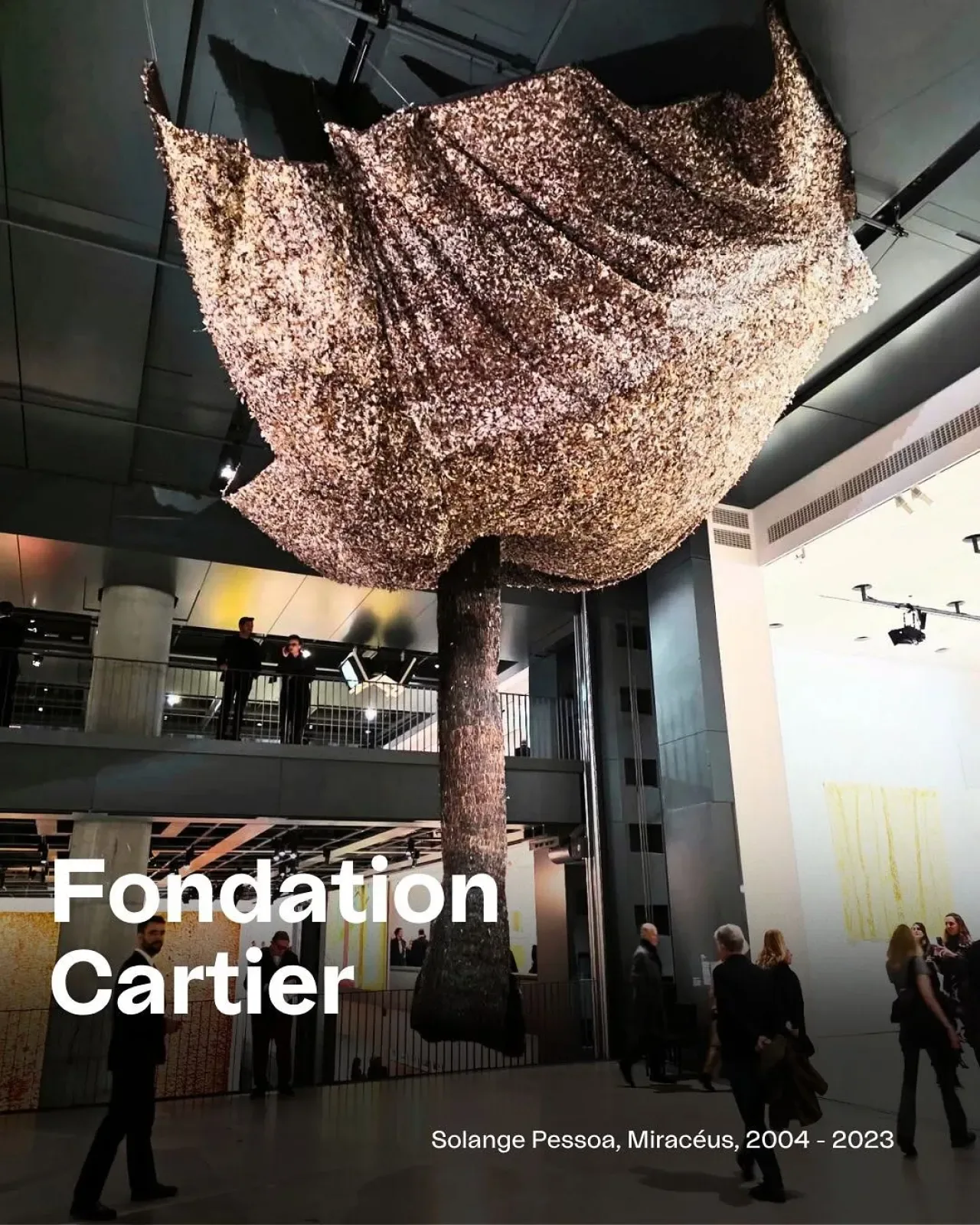 Fondation Cartier 40 Yıldır Çağdaş Sanatın Sınırlarını Zorluyor Fondation Cartier 40 Yıldır Çağdaş Sanatın Sınırlarını Zorluyor