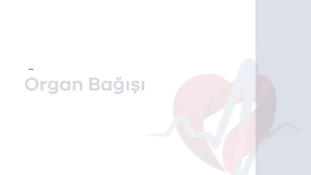Organ Bağışı Beyanı Artık e-Nabız ve e-Devlet'ten Yapılabilecek Organ Bağışı Beyanı Artık e-Nabız ve e-Devlet'ten Yapılabilecek