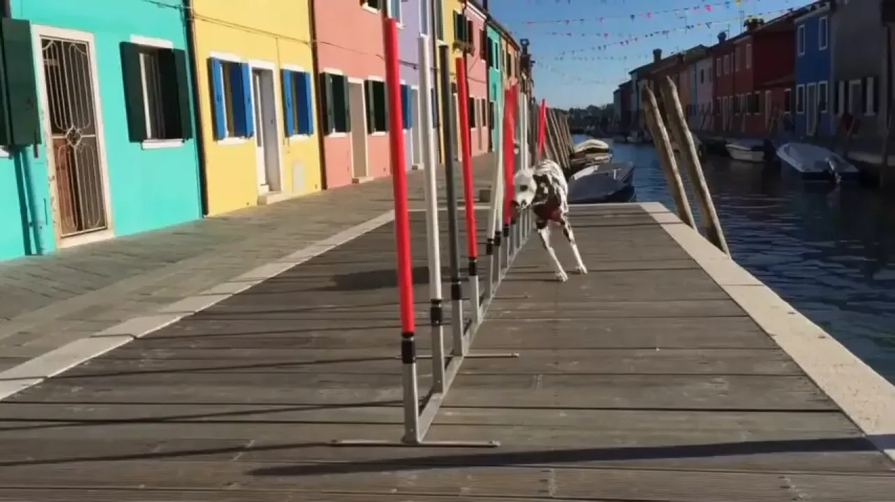 Yapay Zeka Sora 2 ile Üretilen Gerçekçi Videolar Dünya Gündeminde Yapay Zeka Sora 2 ile Üretilen Gerçekçi Videolar Dünya Gündeminde