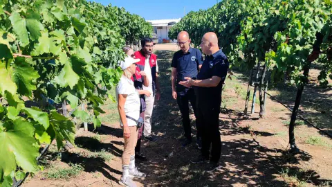 Kırklareli'de İTU'lu Üzüm Kontrolü: Müdür Karaca Pehlivanköy'de