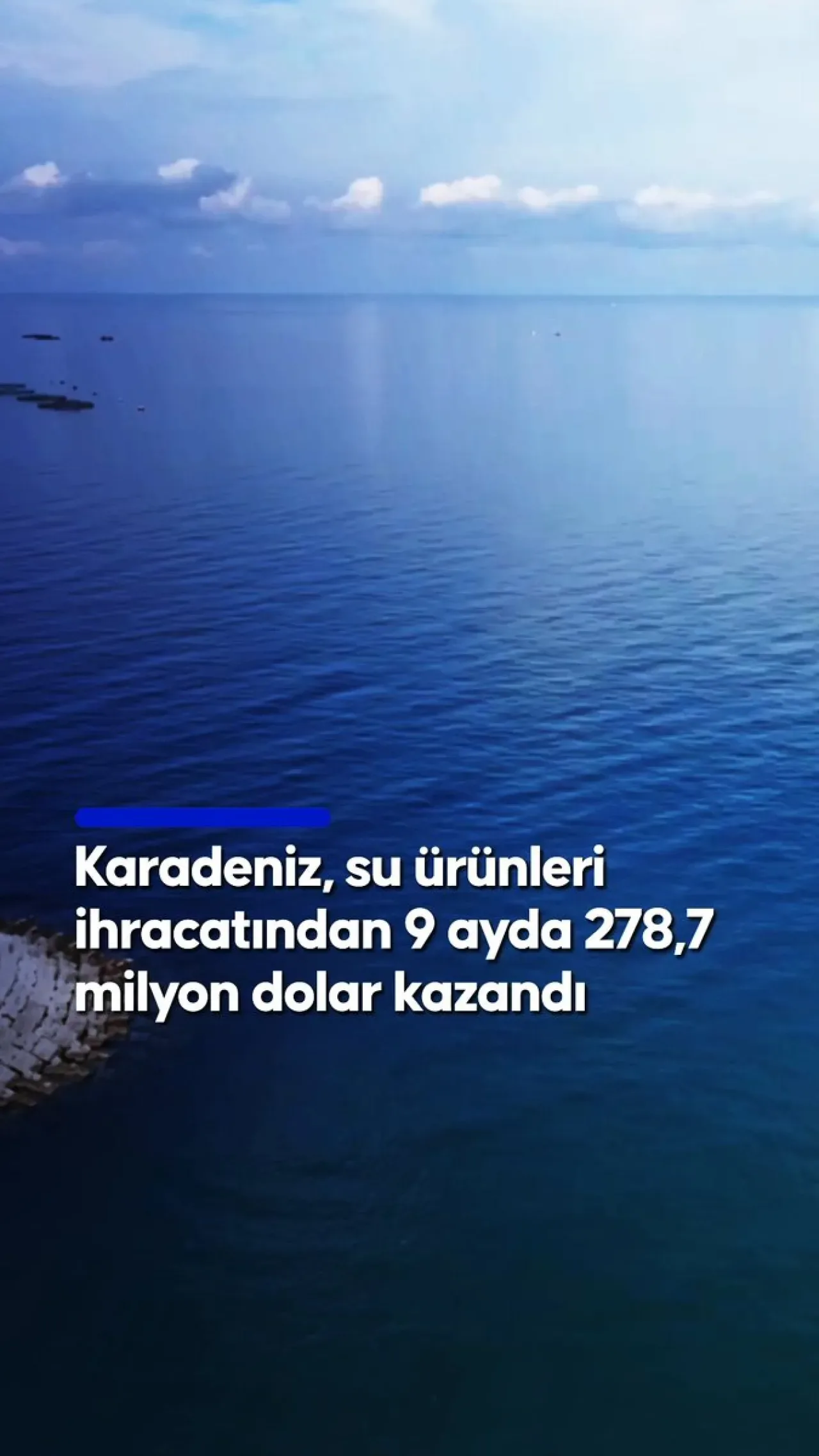 Karadeniz'den 9 Ayda 278 Milyon Dolarlık Su Ürünü İhracatı Karadeniz'den 9 Ayda 278 Milyon Dolarlık Su Ürünü İhracatı