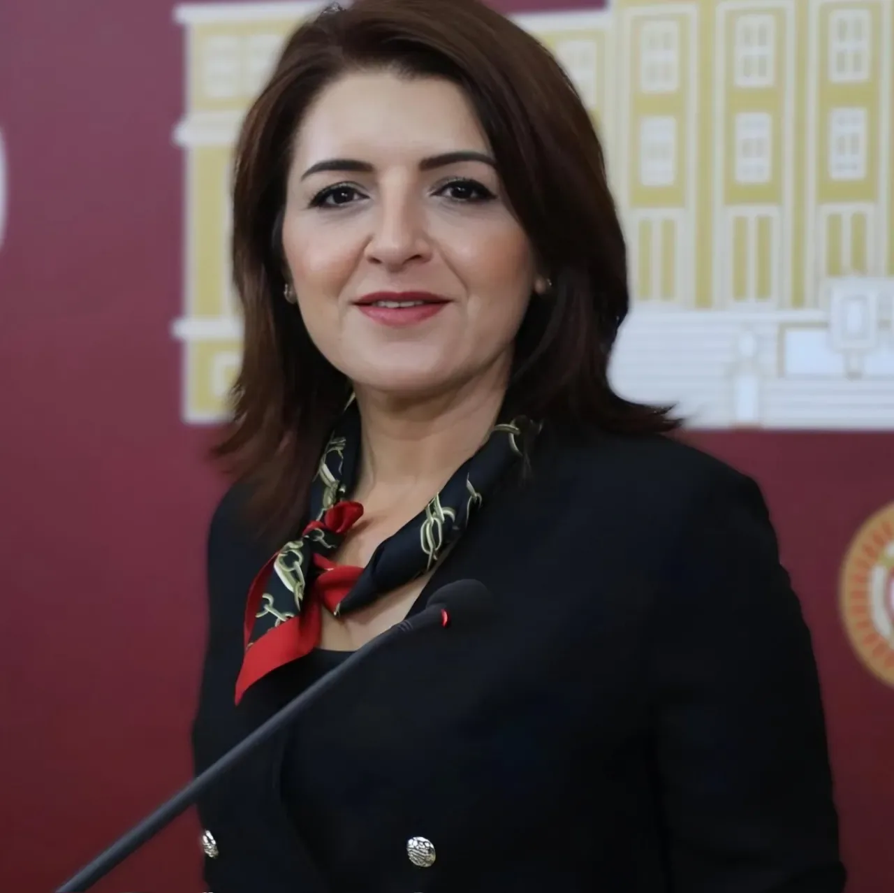 AK Parti'li Belediyelere Yönelik Yapılan Eleştiriler ve Demokrasi Vurgusu AK Parti'li Belediyelere Yönelik Yapılan Eleştiriler ve Demokrasi Vurgusu