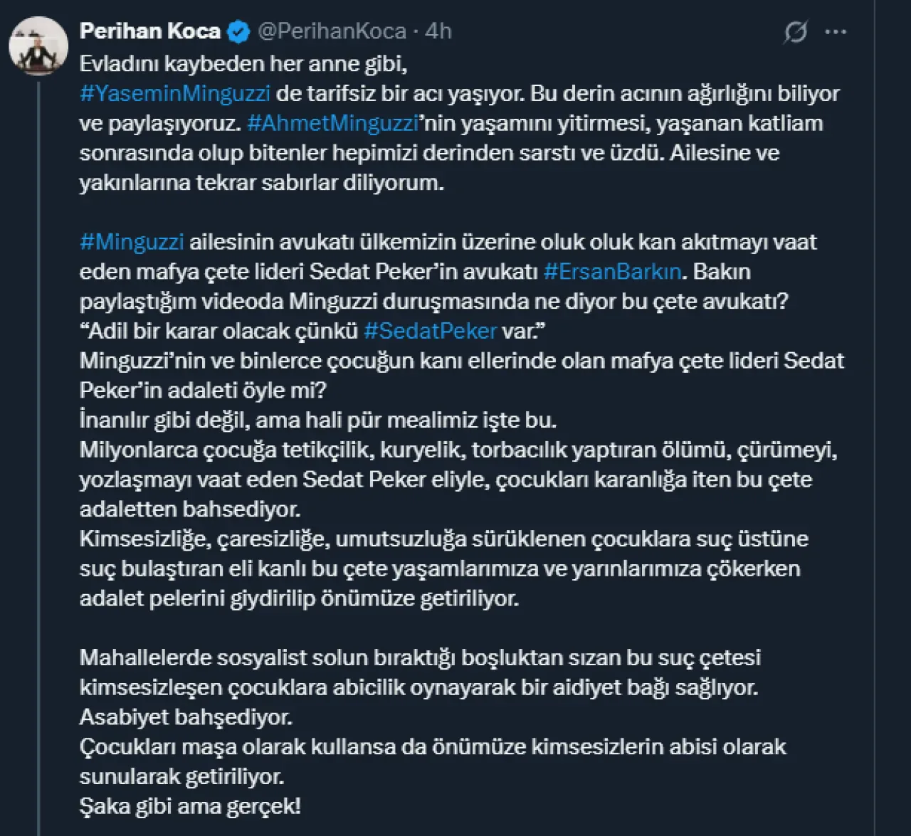 DEM'li Perihan Koca'nın Avukat Ersan Barkın İddiası Videoyla Çürütüldü DEM'li Perihan Koca'nın Avukat Ersan Barkın İddiası Videoyla Çürütüldü