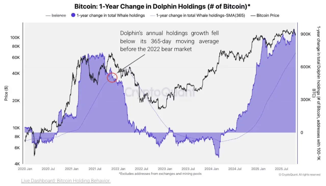 Bitcoin Yükseliş Döngüsü Devam Ediyor: Balina Yatırımcıların Hacmi Kritik Seviyelerin Üzerinde Bitcoin Yükseliş Döngüsü Devam Ediyor: Balina Yatırımcıların Hacmi Kritik Seviyelerin Üzerinde