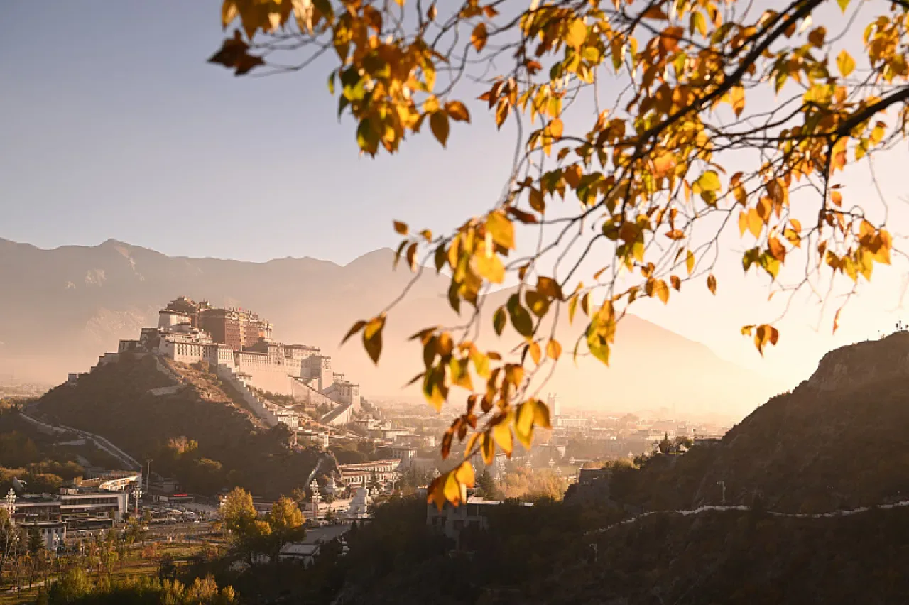 Xizang'da Sonbahar Renkleri: Potala Sarayı Altın Yapraklar İle Çerçeveleniyor Xizang'da Sonbahar Renkleri: Potala Sarayı Altın Yapraklar İle Çerçeveleniyor