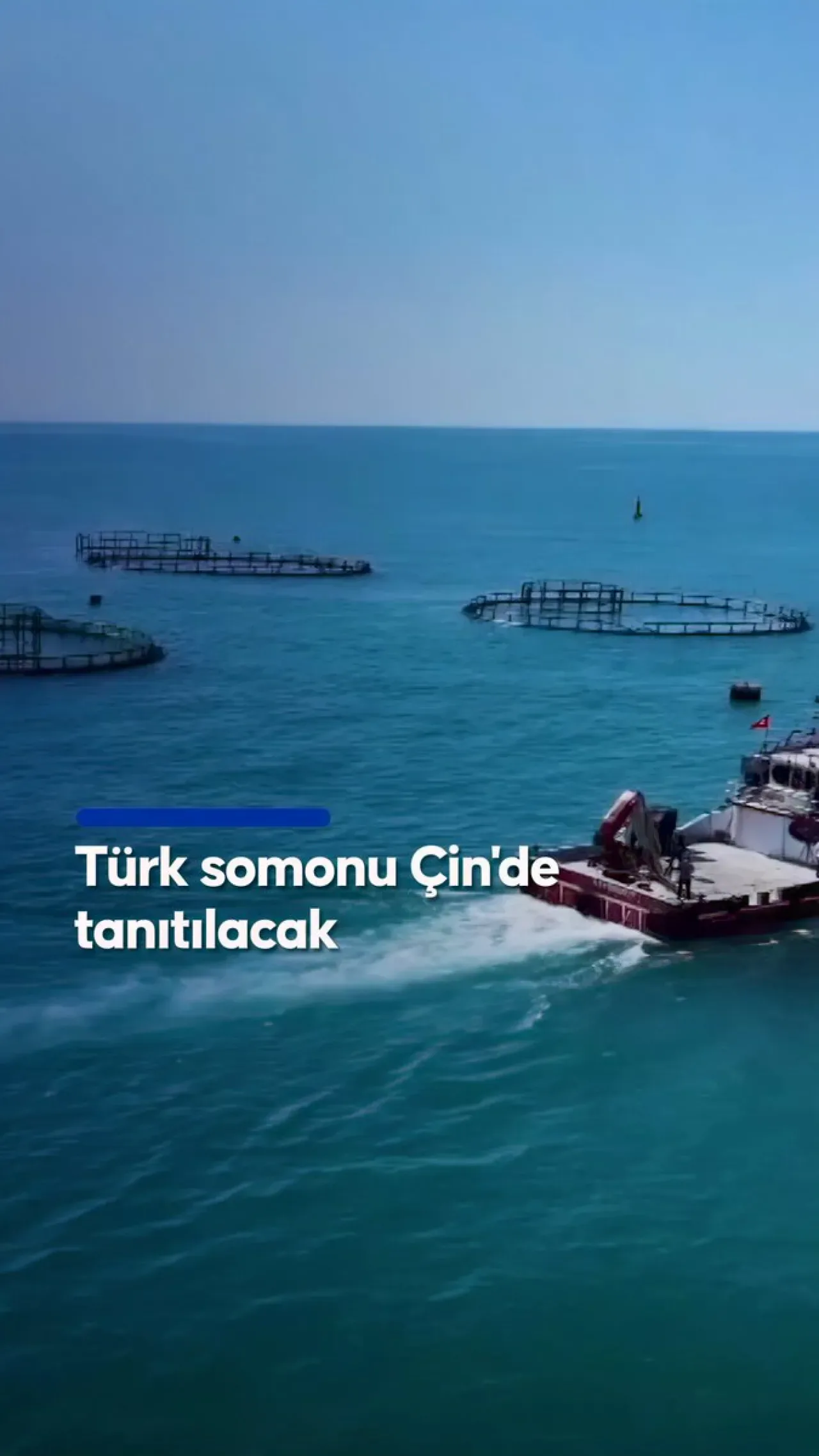 Türk Somonu Çin'de Tanıtılacak: İhracat Hedefi 1 Milyar Dolar Türk Somonu Çin'de Tanıtılacak: İhracat Hedefi 1 Milyar Dolar