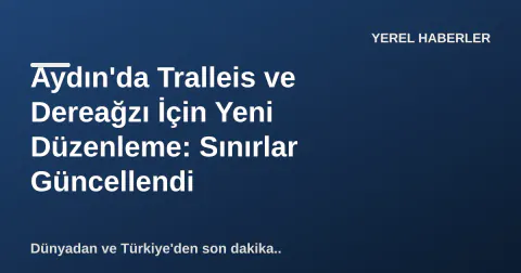 Aydın'da Tralleis ve Dereağzı İçin Yeni Düzenleme: Sınırlar Güncellendi