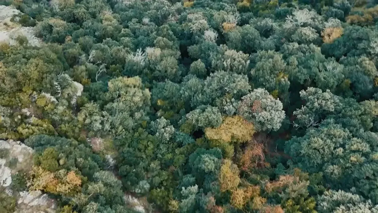 Tayfun Füzesi ile Kritik Atış Testi Başarıyla Gerçekleştirildi Tayfun Füzesi ile Kritik Atış Testi Başarıyla Gerçekleştirildi