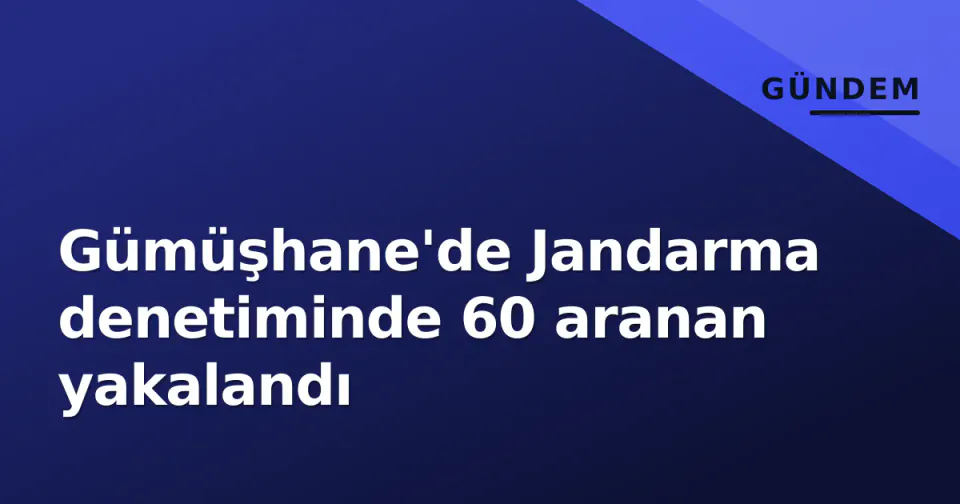 Gümüşhane'de Jandarma denetiminde 60 aranan yakalandı görseli