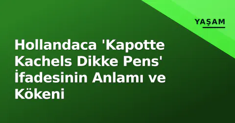 Hollandaca 'Kapotte Kachels Dikke Pens' İfadesinin Anlamı ve Kökeni