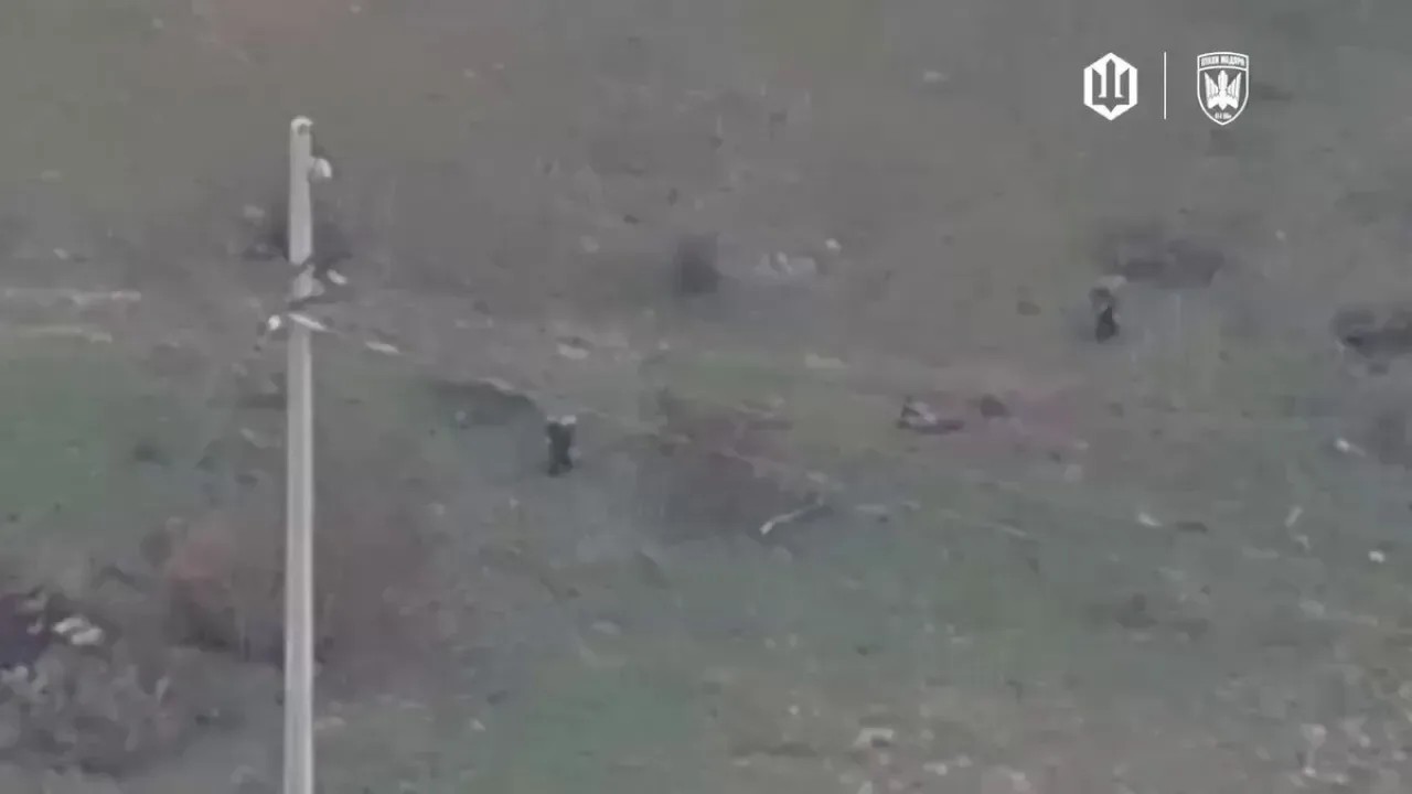 Ukrayna İnsansız Hava Araçları, Rus Askerlerini Hedef Aldı Ukrayna İnsansız Hava Araçları, Rus Askerlerini Hedef Aldı