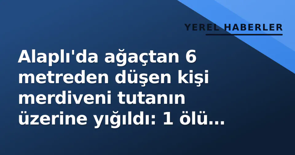 Alaplı'da ağaçtan 6 metreden düşen kişi merdiveni tutanın üzerine yığıldı: 1 ölü 1 ağır yaralı görseli