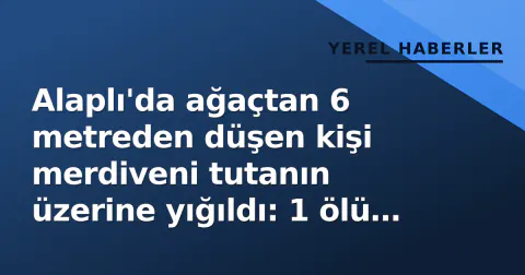 Alaplı'da ağaçtan 6 metreden düşen kişi merdiveni tutanın üzerine yığıldı: 1 ölü 1 ağır yaralı