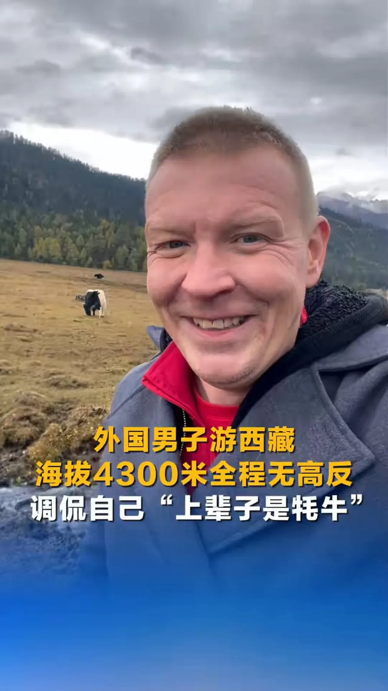 Yabancı Turist, 4300 Metrede Tibet'te Hiç Rahatsızlanmayınca "Geçmiş Hayatımda Yak Olmalıyım" Dedi Yabancı Turist, 4300 Metrede Tibet'te Hiç Rahatsızlanmayınca "Geçmiş Hayatımda Yak Olmalıyım" Dedi