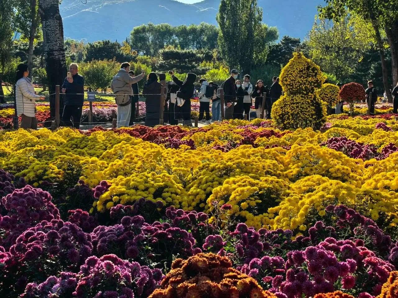Çin'de Chongyang Festivali Kutlamaları: Yaşlılara Saygı ve Doğayla İç İçe Bir Gün Çin'de Chongyang Festivali Kutlamaları: Yaşlılara Saygı ve Doğayla İç İçe Bir Gün