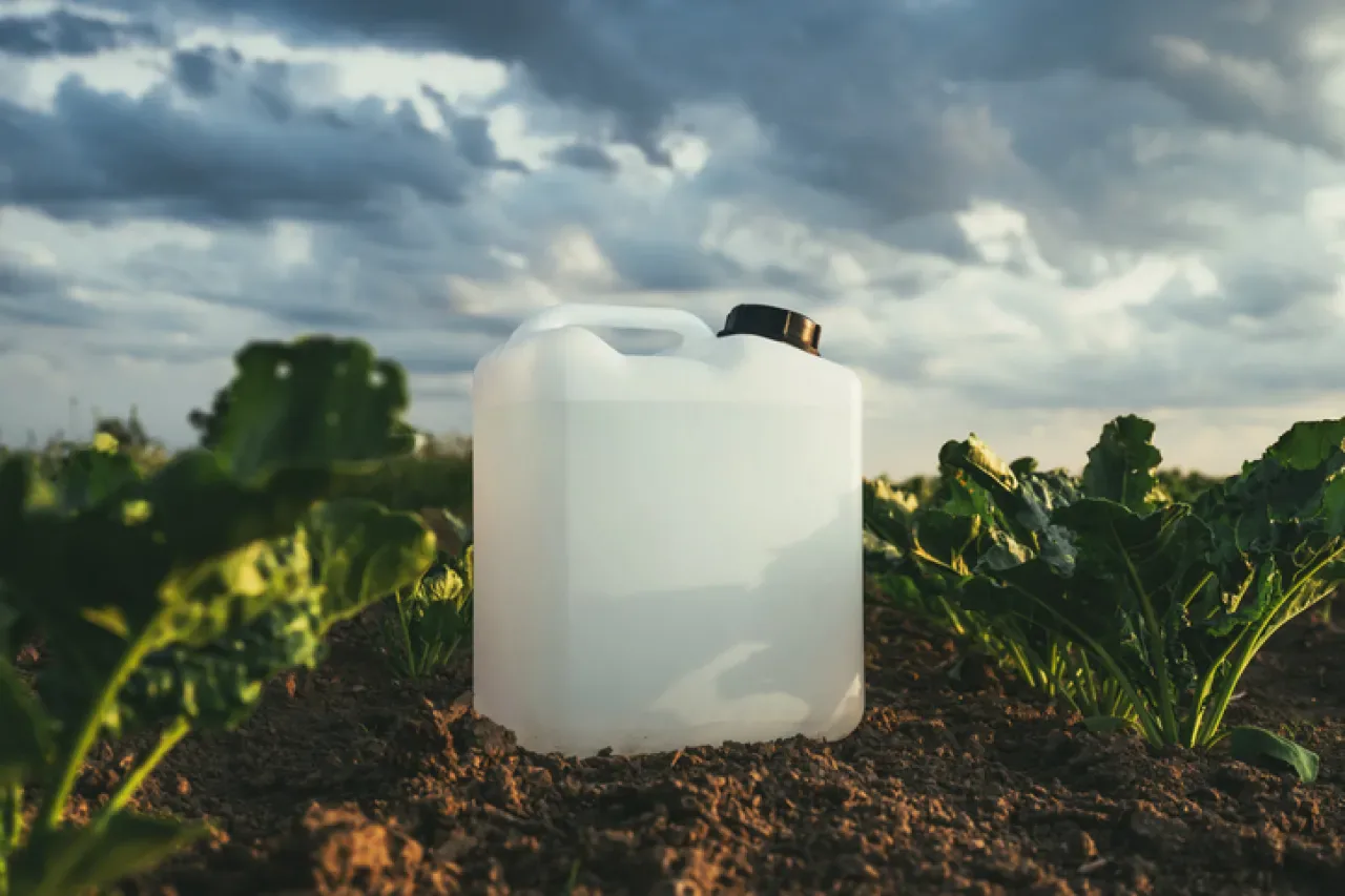 Arıları Tehdit Eden Pestisitlerin Kullanımından Vazgeçilmesi Zorlu Süreç Olmaya Devam Ediyor Arıları Tehdit Eden Pestisitlerin Kullanımından Vazgeçilmesi Zorlu Süreç Olmaya Devam Ediyor