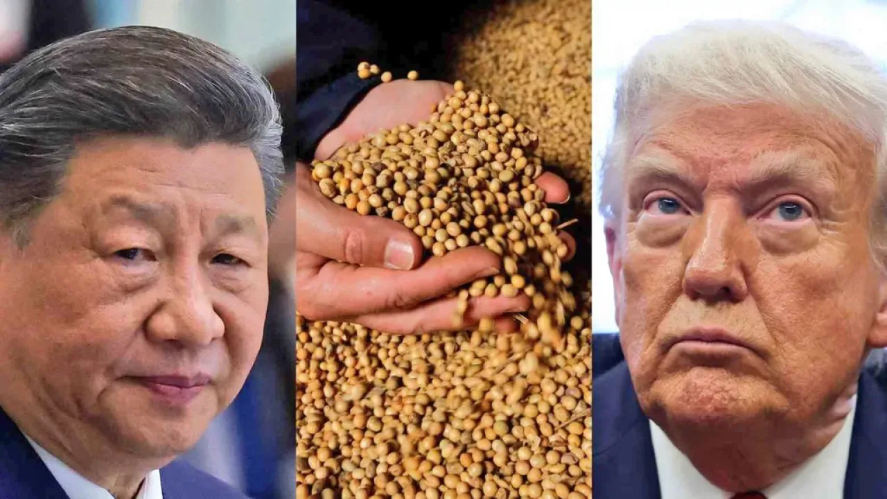 Trump, Çin'in Tarım Ürünleri Alımına İzin Verilmesinden Onur Duyduğunu Açıkladı Trump, Çin'in Tarım Ürünleri Alımına İzin Verilmesinden Onur Duyduğunu Açıkladı