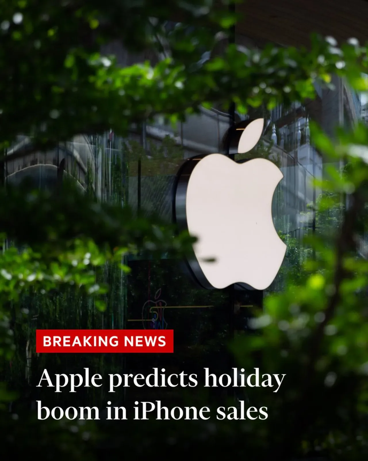 Apple, Aralık Çeyreği İçin Çift Haneli Gelir Büyümesi Bekliyor Apple, Aralık Çeyreği İçin Çift Haneli Gelir Büyümesi Bekliyor