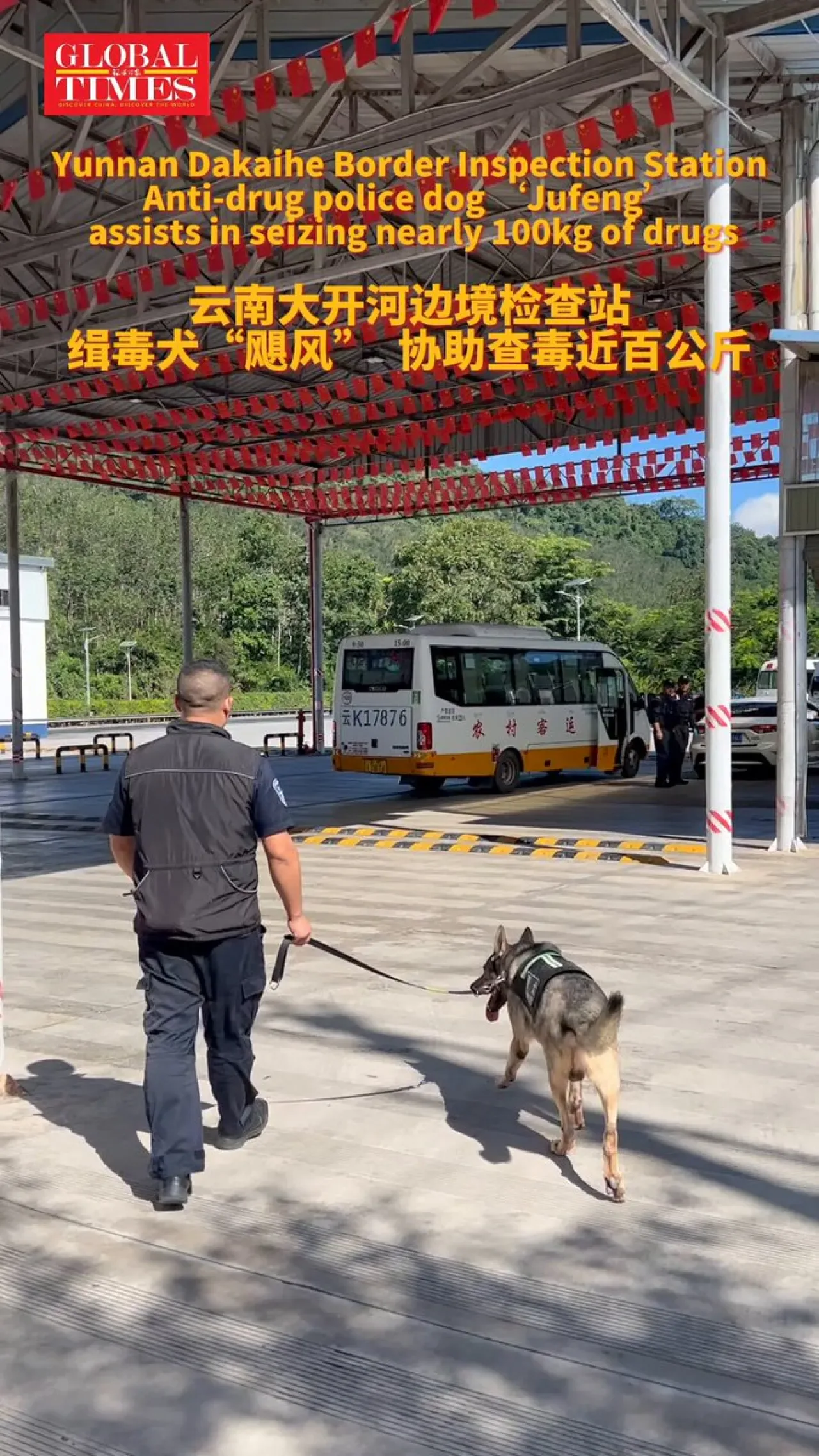 Yunnan'da Görevli Narkotik Köpeği Jufeng, 94.7 Kg Uyuşturucu Ele Geçirilmesine Katkı Sağladı Yunnan'da Görevli Narkotik Köpeği Jufeng, 94.7 Kg Uyuşturucu Ele Geçirilmesine Katkı Sağladı