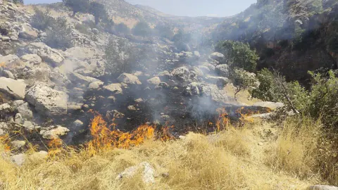 Şırnak Güçlükonak'ta saman yığını yangını itfaiye müdahalesiyle kontrol altına alındı