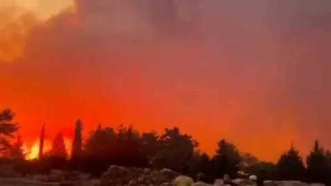 Muğla Menteşe'de orman yangını: Havadan ve karadan müdahale sürüyor
