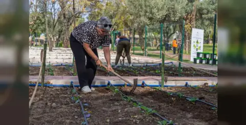 Sevim Hanyalı’nın hafıza kaybına karşı ‘toprak reçetesi’: İlk mahsul belediye başkanına hediye edilecek