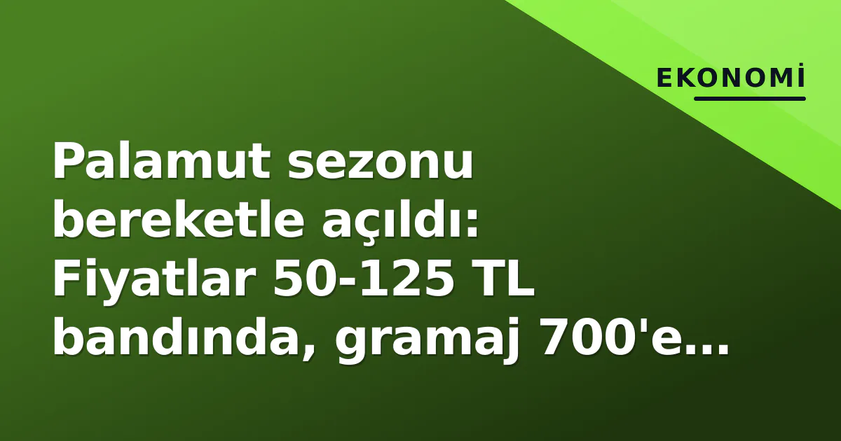 Palamut sezonu bereketle açıldı: Fiyatlar 50-125 TL bandında, gramaj 700'e ulaştı Palamut sezonu bereketle açıldı: Fiyatlar 50-125 TL bandında, gramaj 700'e ulaştı
