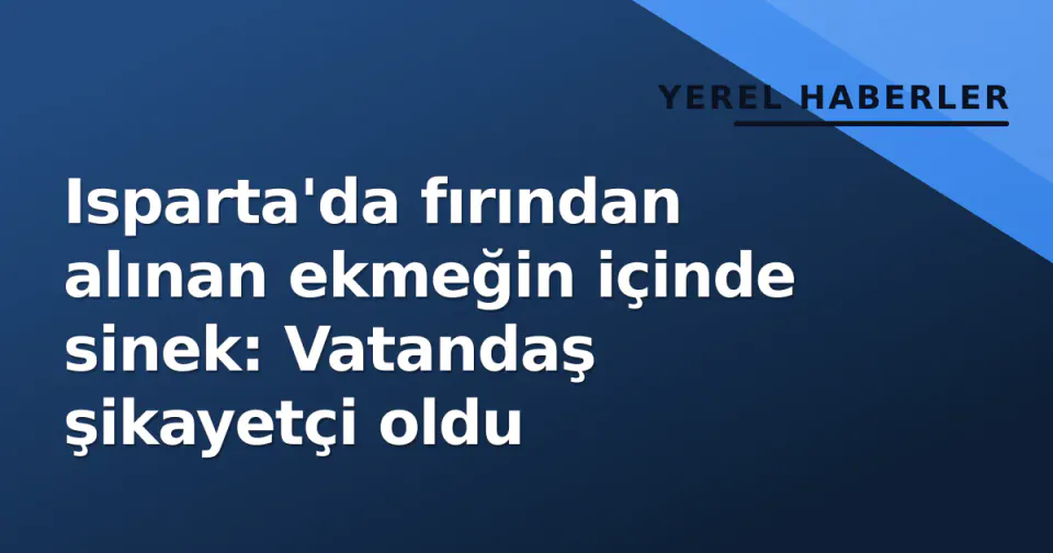 Isparta'da fırından alınan ekmeğin içinde sinek: Vatandaş şikayetçi oldu görseli