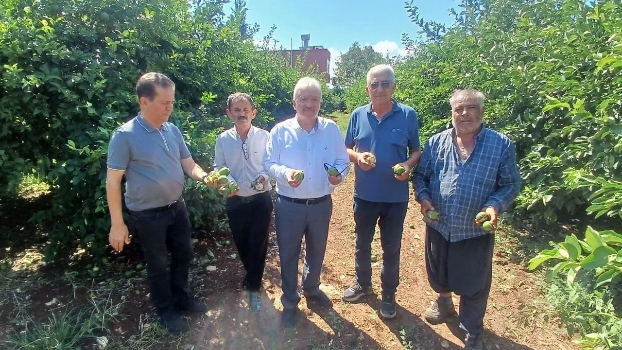 Adana Yüreğir'de Dolu Felaketi: 35 Bin Dönüm Tarım Alanı Zarar Gördü Adana Yüreğir'de Dolu Felaketi: 35 Bin Dönüm Tarım Alanı Zarar Gördü