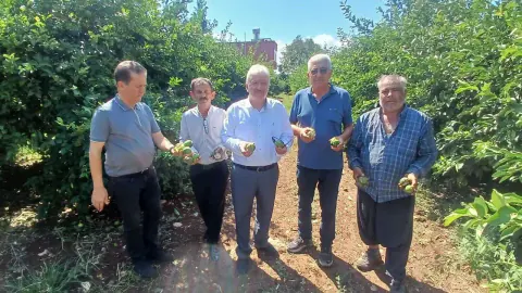 Adana Yüreğir'de Dolu Felaketi: 35 Bin Dönüm Tarım Alanı Zarar Gördü