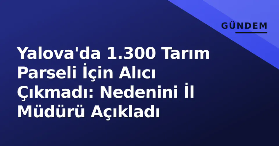 Yalova'da 1.300 Tarım Parseli İçin Alıcı Çıkmadı: Nedenini İl Müdürü Açıkladı görseli