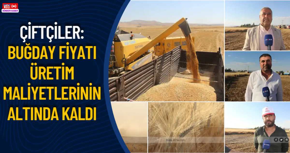 Mardinli Çiftçiler TMO'nun Buğday Alım Fiyatlarına Tepkili Mardinli Çiftçiler TMO'nun Buğday Alım Fiyatlarına Tepkili