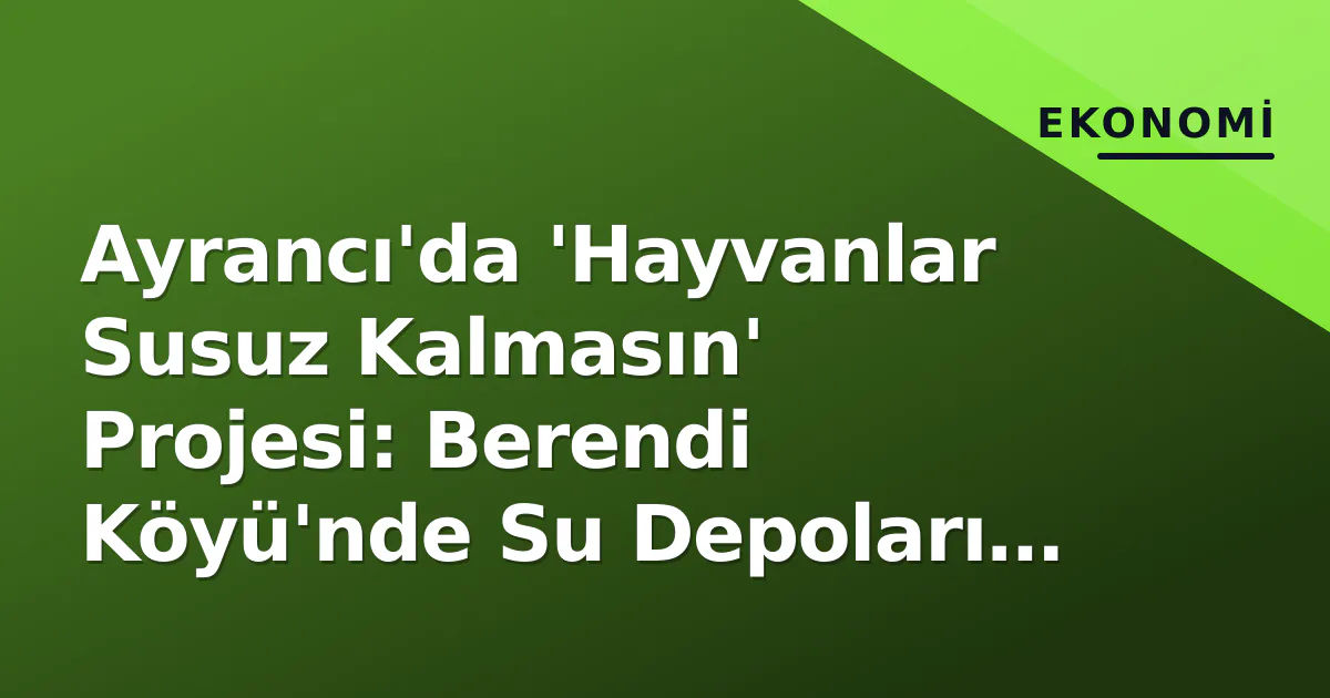 Ayrancı'da 'Hayvanlar Susuz Kalmasın' Projesi: Berendi Köyü'nde Su Depoları Yer Belirledi Ayrancı'da 'Hayvanlar Susuz Kalmasın' Projesi: Berendi Köyü'nde Su Depoları Yer Belirledi