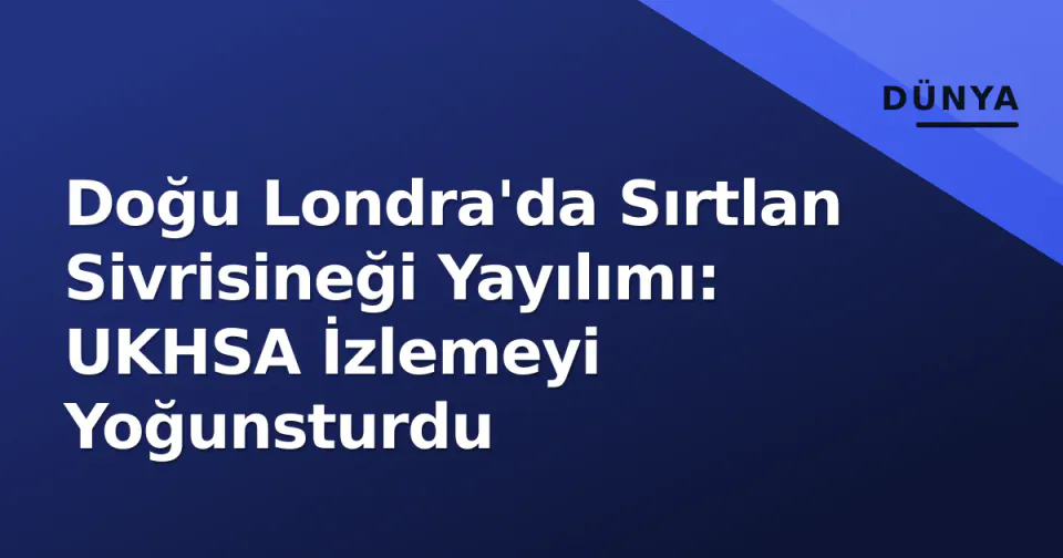 Doğu Londra'da Sırtlan Sivrisineği Yayılımı: UKHSA İzlemeyi Yoğunsturdu görseli