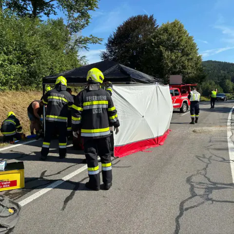 Avusturya'da L314 Karayolunda Dramatik Kaza: Araç Hendekte Kaldı