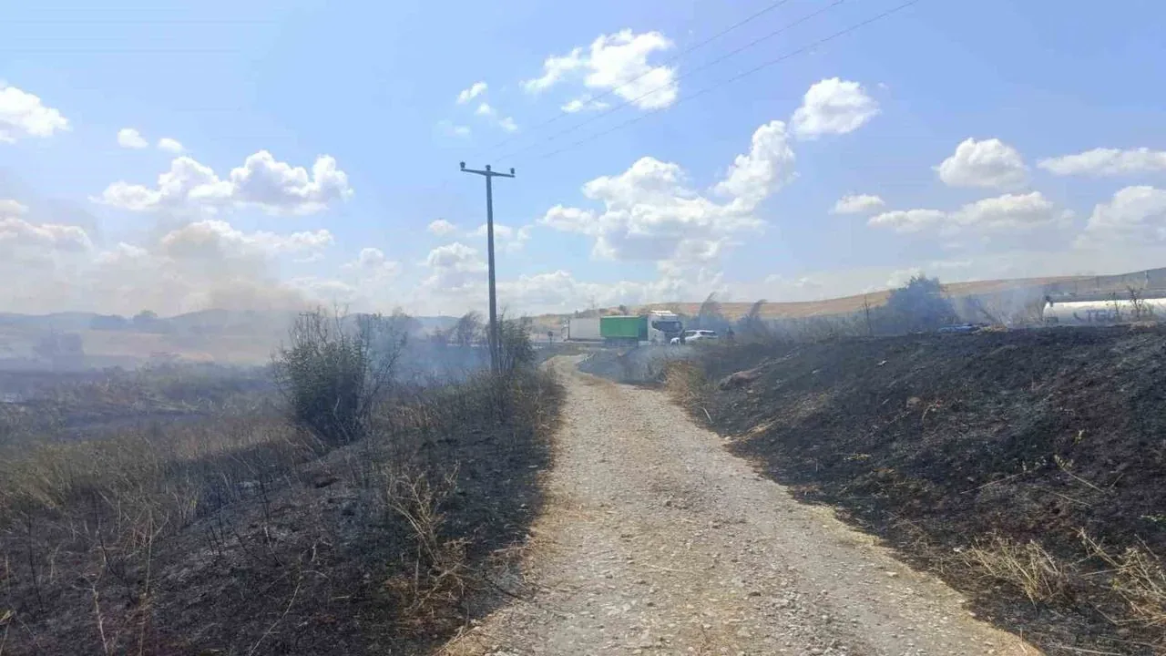 Susurluk'ta Karayolu Kenarındaki Sazlık Alan Yangını Söndürüldü Susurluk'ta Karayolu Kenarındaki Sazlık Alan Yangını Söndürüldü